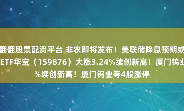 翻翻股票配资平台 非农即将发布！美联储降息预期或升温！有色ETF华宝（159876）大涨3.24%续创新高！厦门钨业等4股涨停