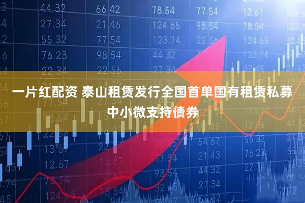 一片红配资 泰山租赁发行全国首单国有租赁私募中小微支持债券