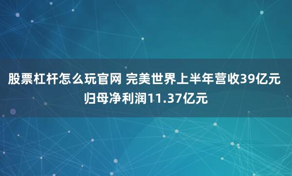 股票杠杆怎么玩官网 完美世界上半年营收39亿元 归母净利润11.37亿元