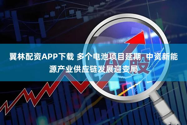 翼林配资APP下载 多个电池项目延期  中资新能源产业供应链发展迎变局