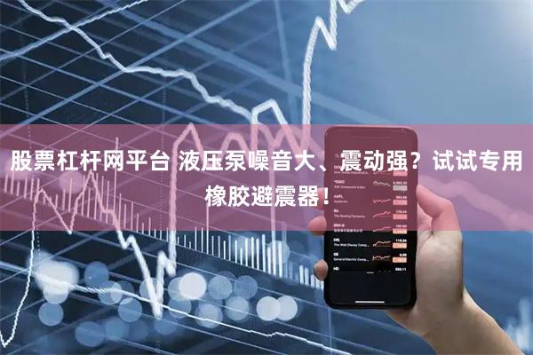 股票杠杆网平台 液压泵噪音大、震动强？试试专用橡胶避震器！