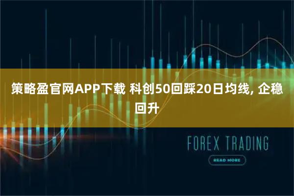 策略盈官网APP下载 科创50回踩20日均线, 企稳回升
